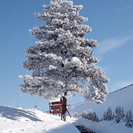 Sloneczny Holiday home *