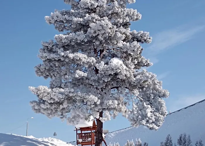 Sloneczny בית נופש *