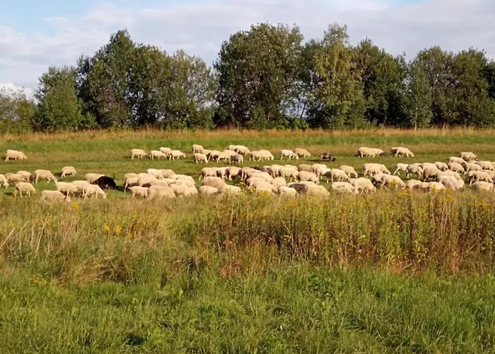 בית נופש Sloneczny *